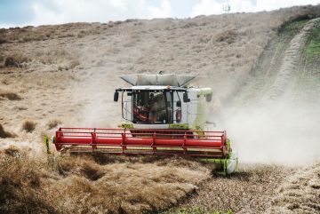 Serviços Agrícolas