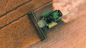 Serviços Agrícolas